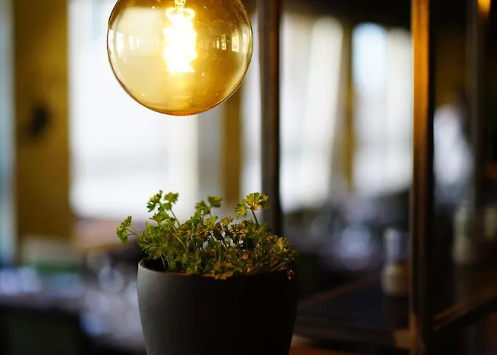 Donatello 호텔 고싸우